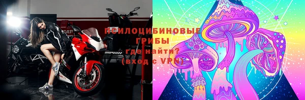 спиды Абаза