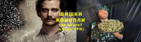 мяу мяу мука Рославль
