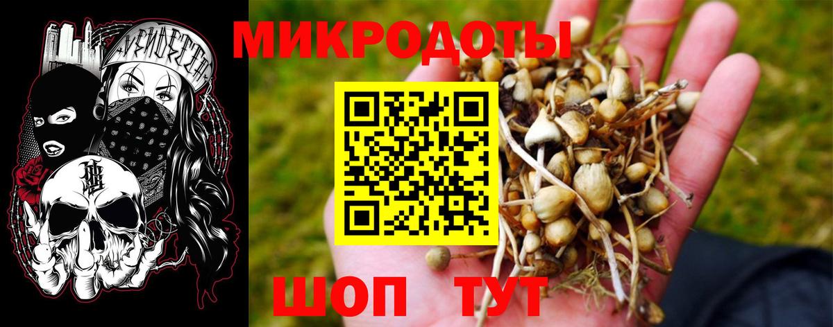 Псилоцибиновые грибы мицелий Донецк