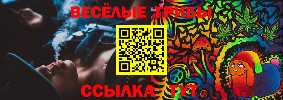 Псилоцибиновые грибы GOLDEN TEACHER  Вход с VPN  Донецк 