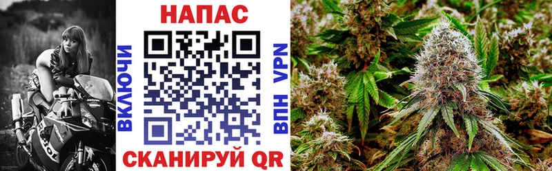 купить наркотики сайты  Донецк  Каннабис Ganja 